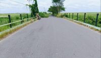 PUPR Kalsel Segera Rehabilitasi Jembatan Karang Rati HSS yang Rusak